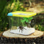 Reptile Breeding Box Clear Acrylic Reptile Feeding Insect Reptile Cage Terrarium Talis Us