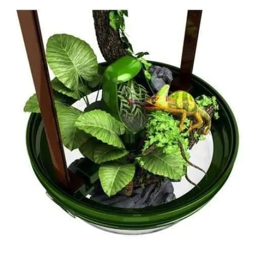 Reptile Drinking Fountain Terrarium Habitats Feeding Supplies RSC