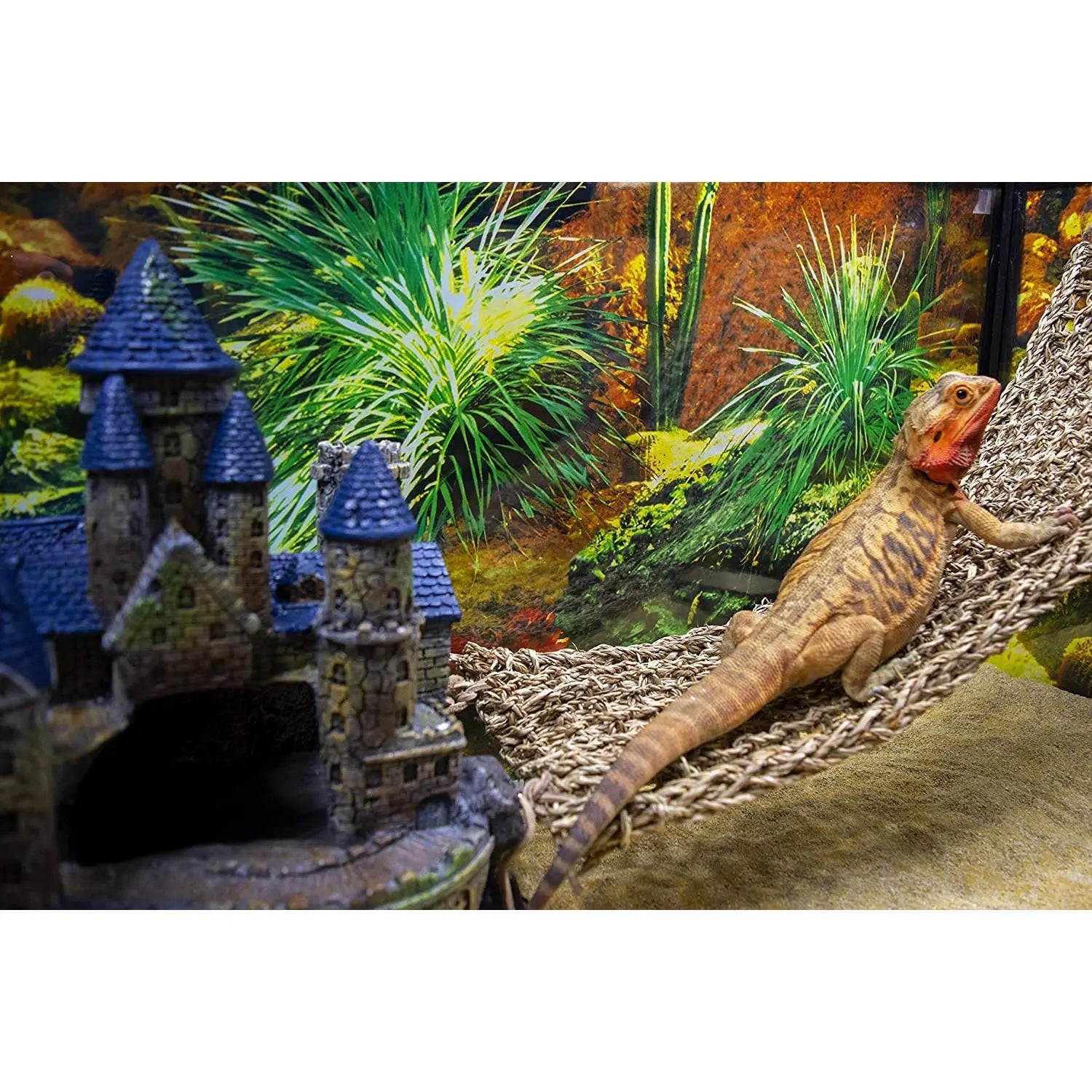 Reptology Castle Hide-Away & Lizard Lounger Bridge Reptile Habitat Decorations Reptology