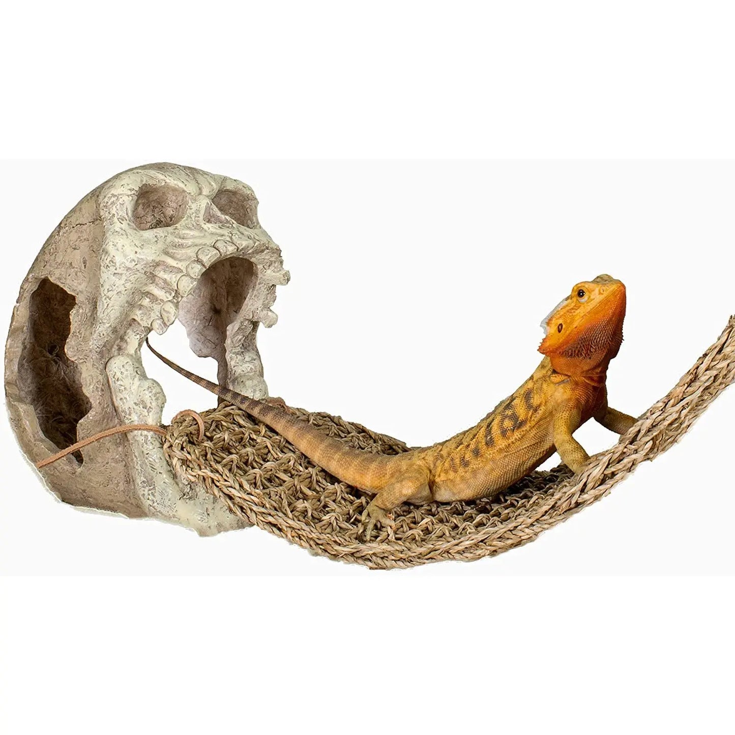 Reptology Skull Hide-Away Habitat Décor Reptology