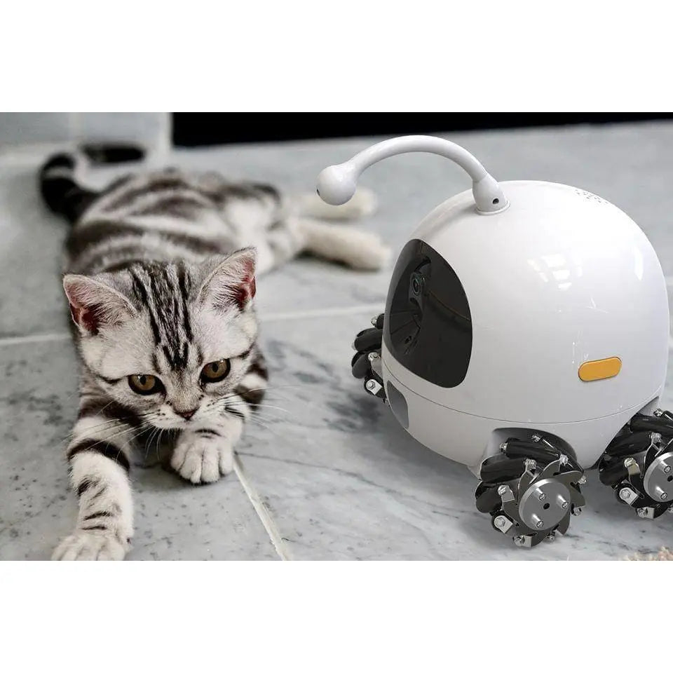 Rocky Pets Robot Smart Pet Camera Dog Treat Dispenser Laser Teasing Talis Us