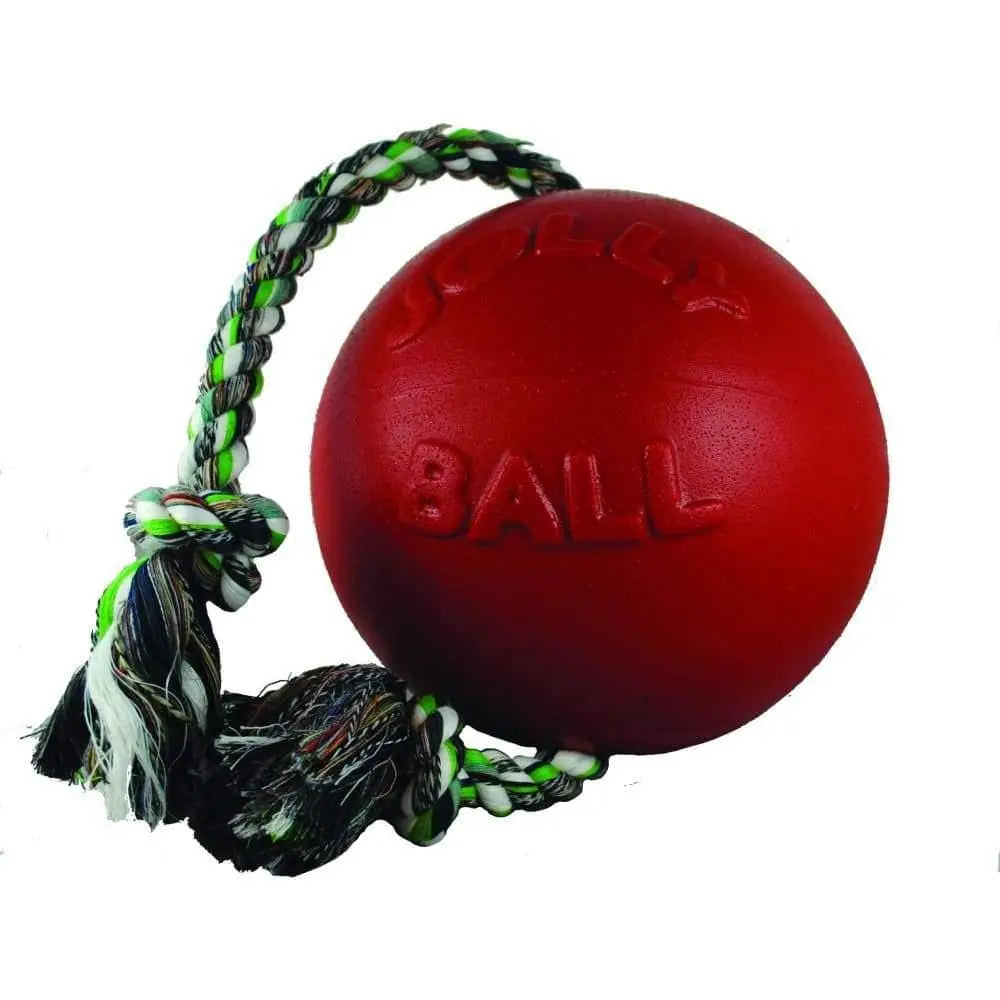 Romp-n-roll Ball Dog Toy Jolly Pets