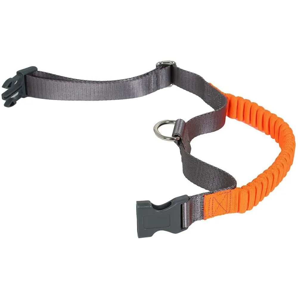Safety-Grip Control Dog Collar Adjustable Fit Bright Color for Easy Visibility Penn-Plax
