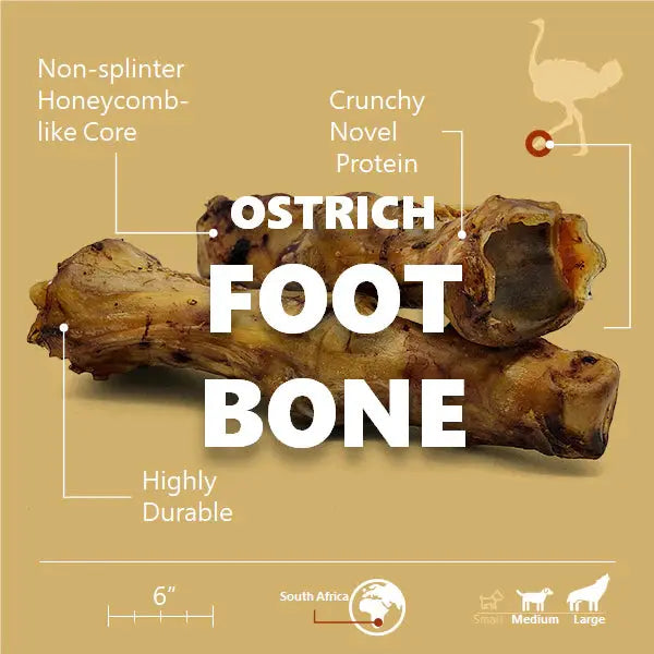Savannah - Splinter-free Ostrich Foot Bone. Long-lasting, Natural Dog Gnaw Treat Savannah Pet Food