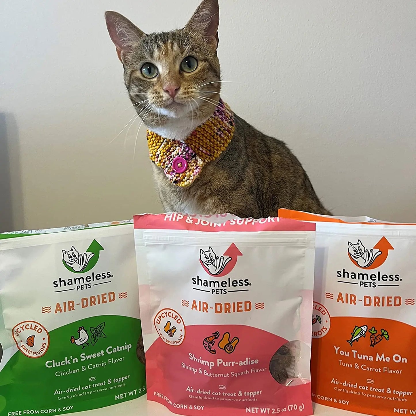 Shameless Pets Cluck'n Sweet Catnip Air-Dried Cat Treat & Topper 2.5 oz Shameless Pets