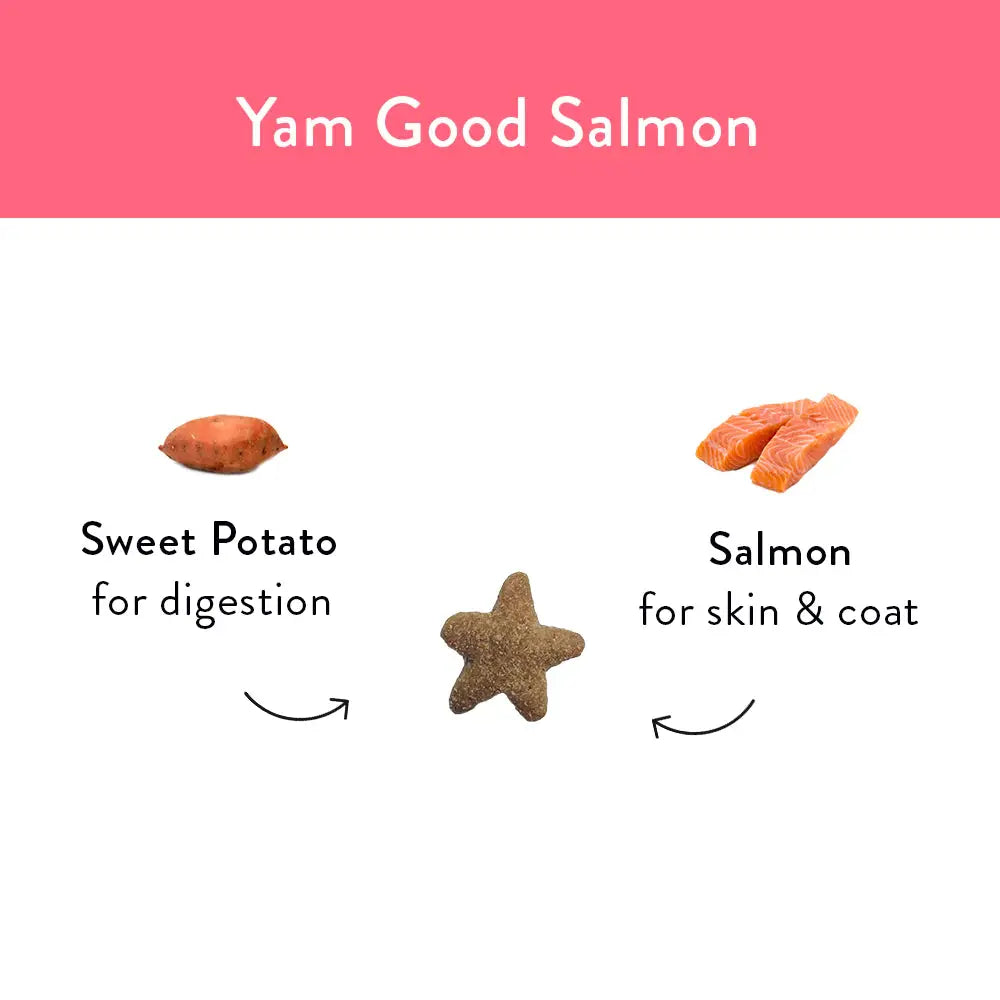 Shameless Pets Yam Good Salmon Crunchy Cat Treats Shameless Pets