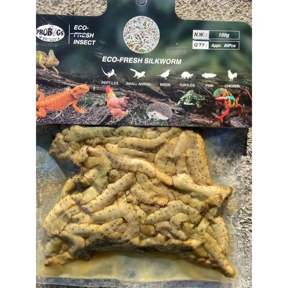 Silkworm Larvae Bulk Bag (150 gram) (80 piece average) Talis Us