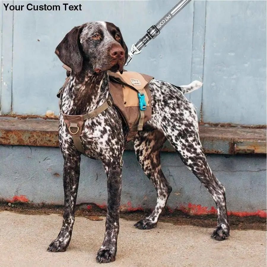 Smart Dog Leash, Smart Dog Leash With Multi-color LED Lights, Usb Charger Leash, Smart Leash For Dog Talis Us