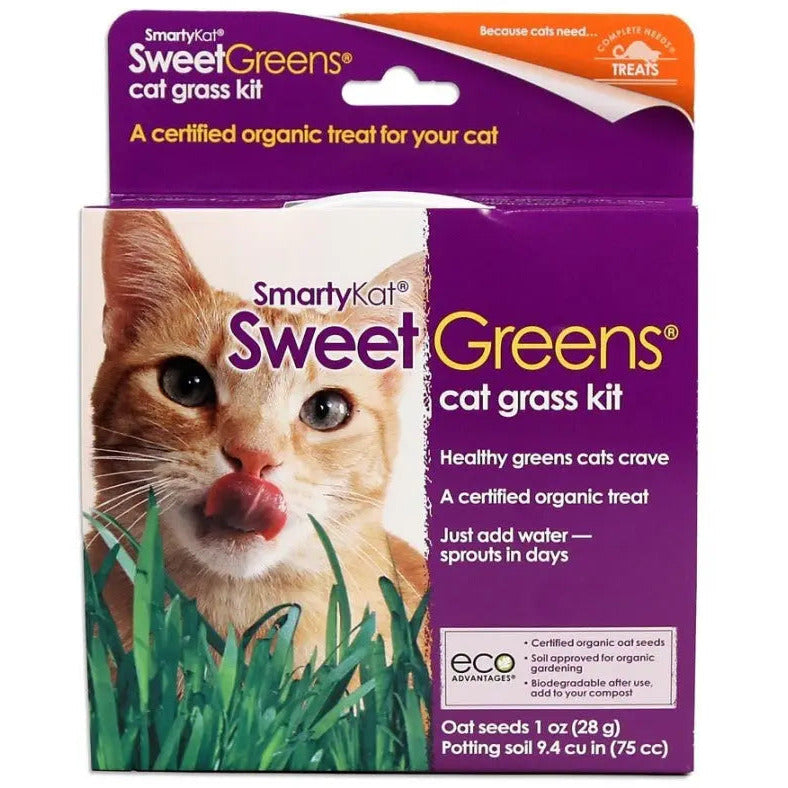 SmartyKat Sweet Greens Cat Grass Kit SmartyKat