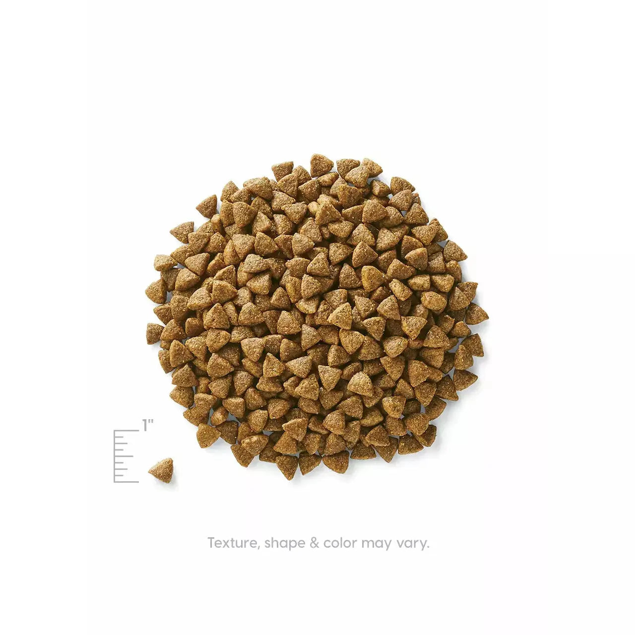 Solid Gold Pet Wild Heart Grain Free Quail Chickpeas & Pumpkin Recipe Dog Food 24 Lbs Solid Gold