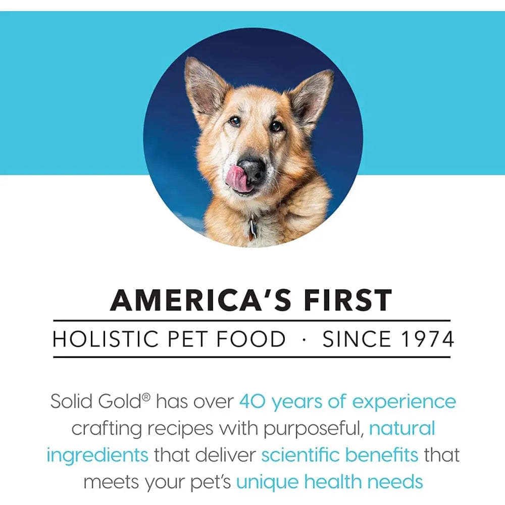 Solid Gold® Fit & Fabulous Chicken, Sweet Potatoes & Green Beans Recipe for Dog 13.2 Oz Solid Gold