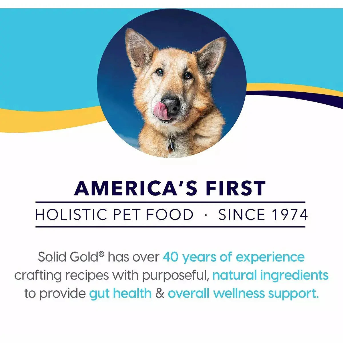 Solid Gold® Fit and Fabulous Grain Free Chicken, Sweet Potato & Green Beans Recipe Weight Control Dog Food Solid Gold