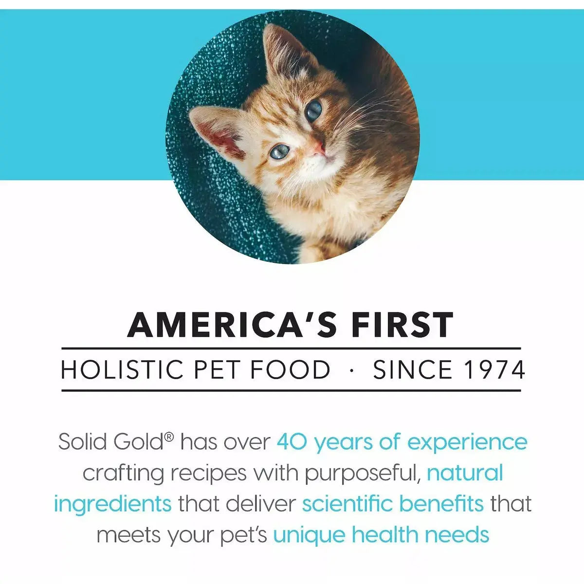 Solid Gold® Flavorful Feast Grain Free Kitten Recipe with Chicken Cat Food 3oz case of 24 Solid Gold