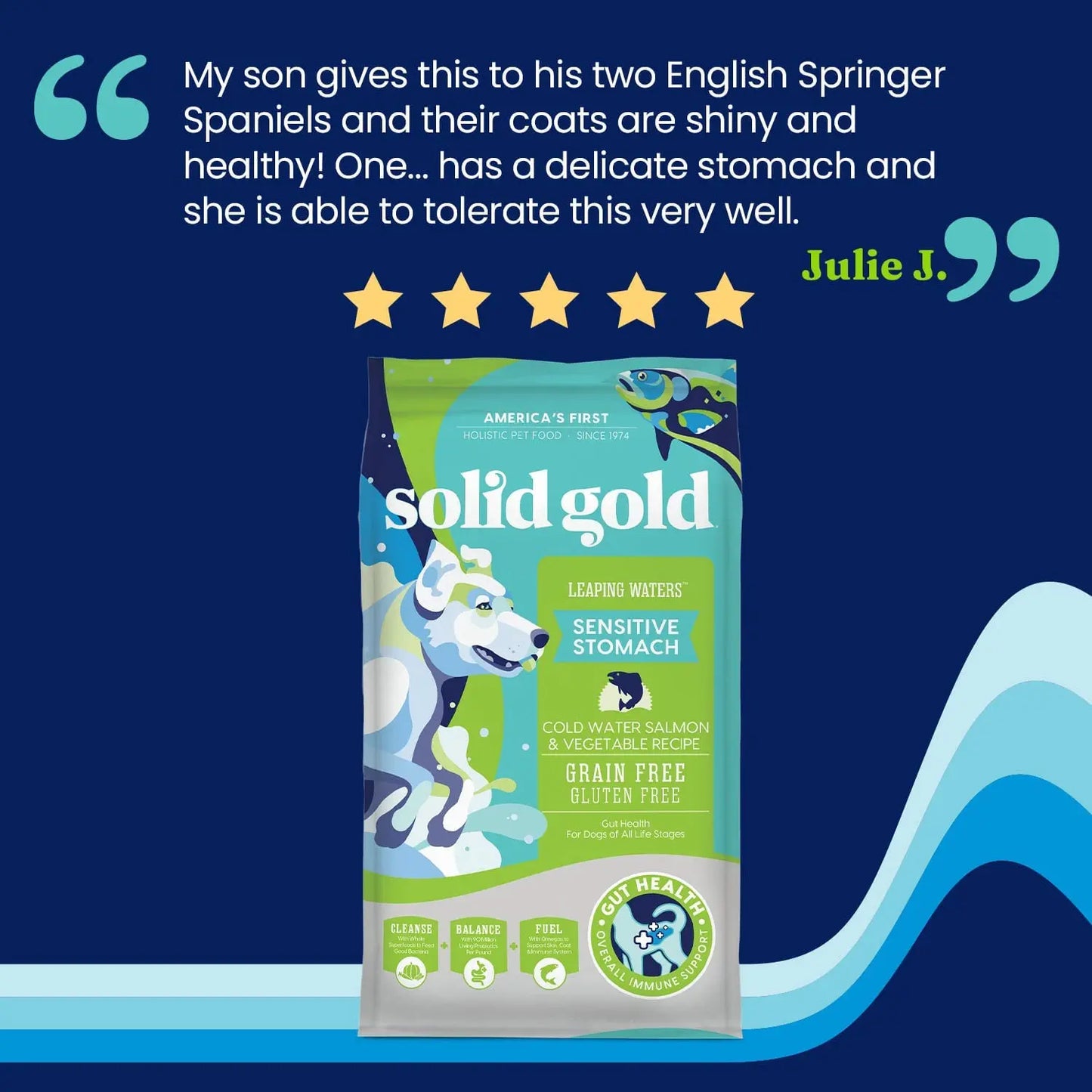 Solid Gold® Leaping Waters Grain Free Cold Water Salmon & Vegetable Recipe Dog Food Solid Gold