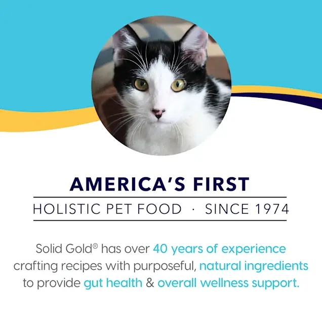 Solid Gold® Purrfect Pairings Grain Free Savory Mousse with Chicken & Goat Milk Cat Food 2.75 Oz case of 18 Solid Gold