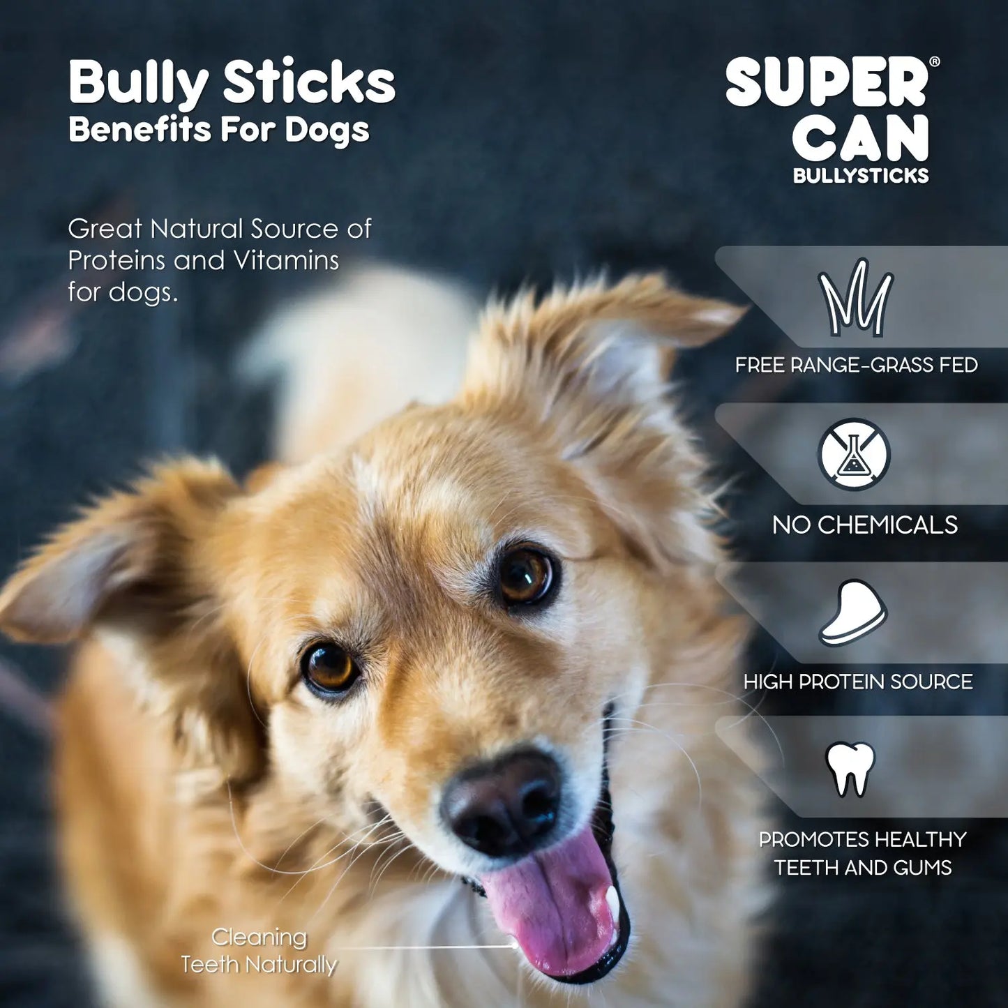 Supercan 12 inch Standard Odor Free Bully Sticks Case of 50 Supercan