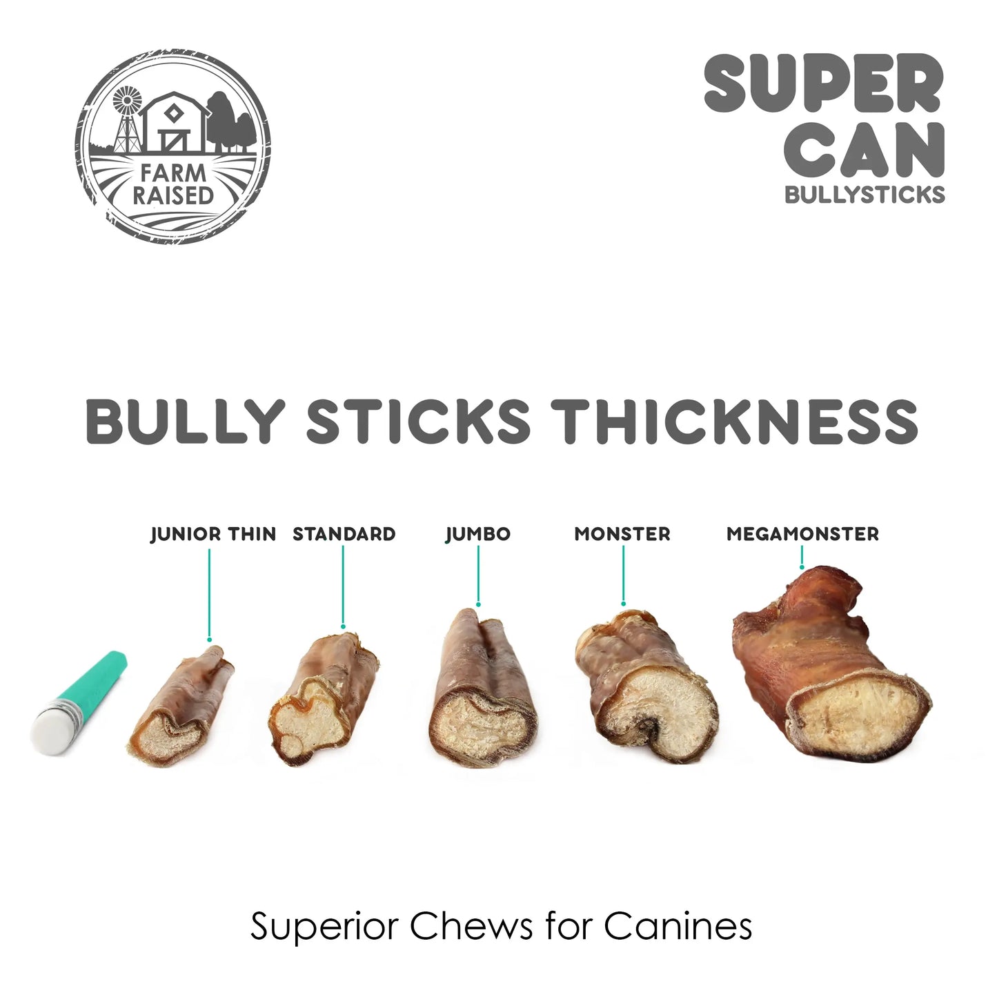 Supercan 12 inch Standard Odor Free Bully Sticks Case of 50 Supercan