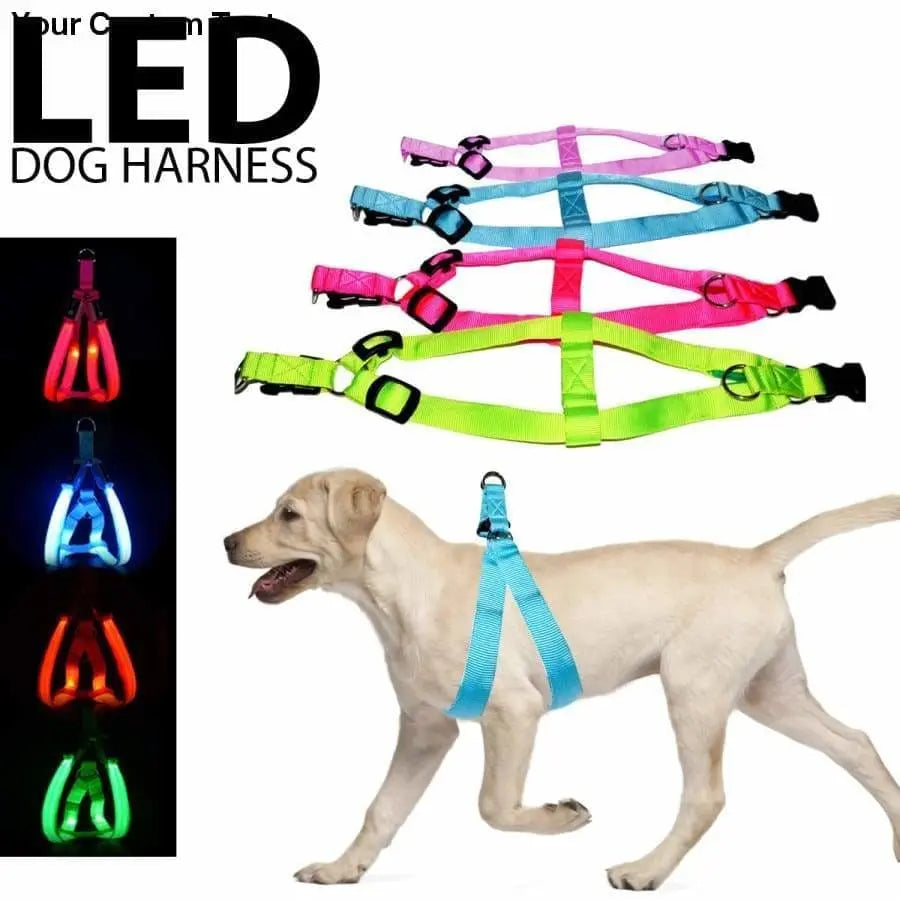 Talis Revolutionary Illuminated and Reflective Harness for Dogs Talis Us