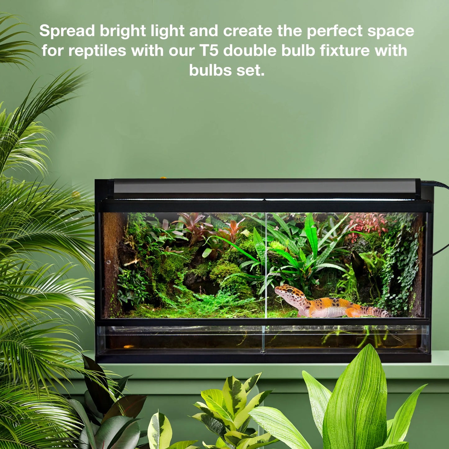 Talis-us Double Bulb Fixture with Arcadia and 6.5k Day-Light Bulbs HO T5 UVB Reptile Light Terrarium Hood Talis Us