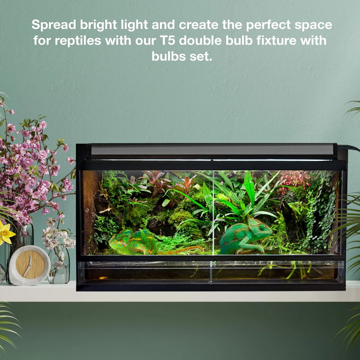 Talis-us Double Fixture with Arcadia Bulb and LED Bar HO T5 UVB Reptiles Aquarium Light Arboreal Terrarium Hood Talis Us