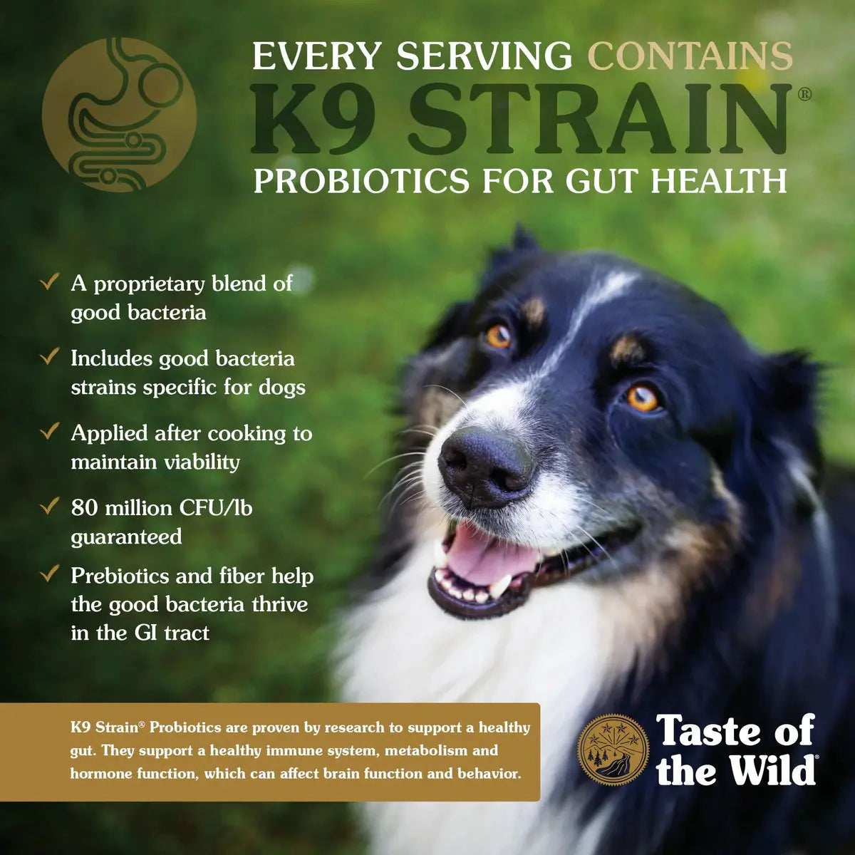 Taste of the Wild® Appalachian Valley® Venison and Garbanzo Beans Small Breed Canine Recipe Dry Dog Food Taste of the Wild®