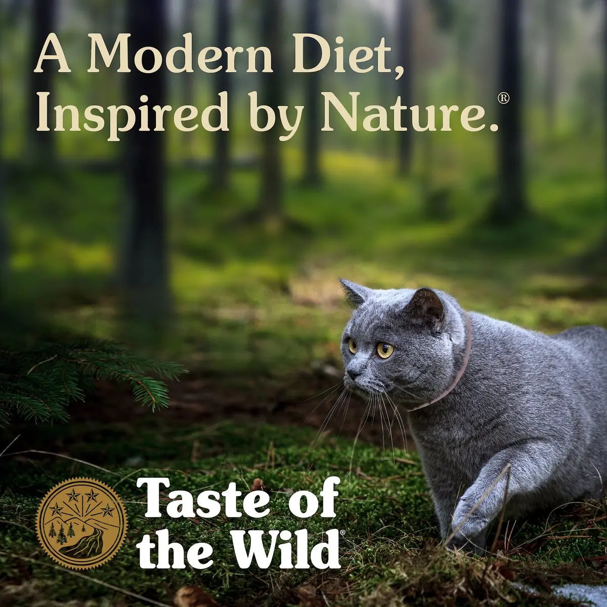Taste of the Wild® Canyon River® Grain Free Feline With Trout & Smoked Salmon Recipe Cat Food Taste of the Wild®