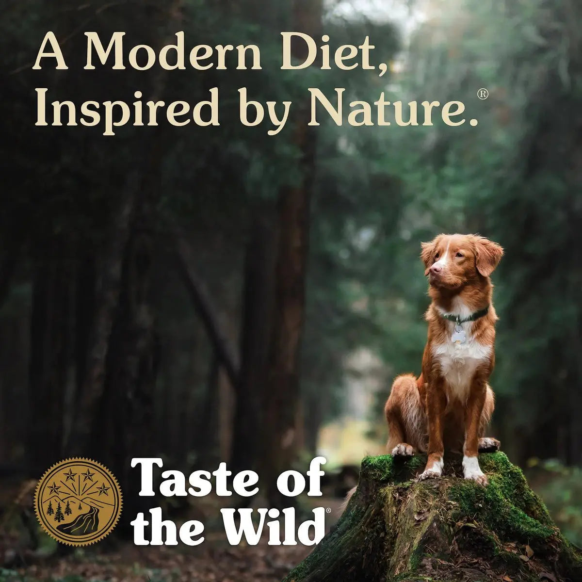 Taste of the Wild® Pine Forest® Venison and Legumes Canine Recipe Dry Dog Food Taste of the Wild®