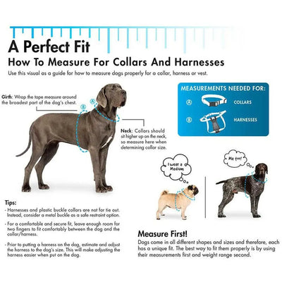 Titan® Easy-On Dog Prong Training Collar with Buckle Coastal Pet Products