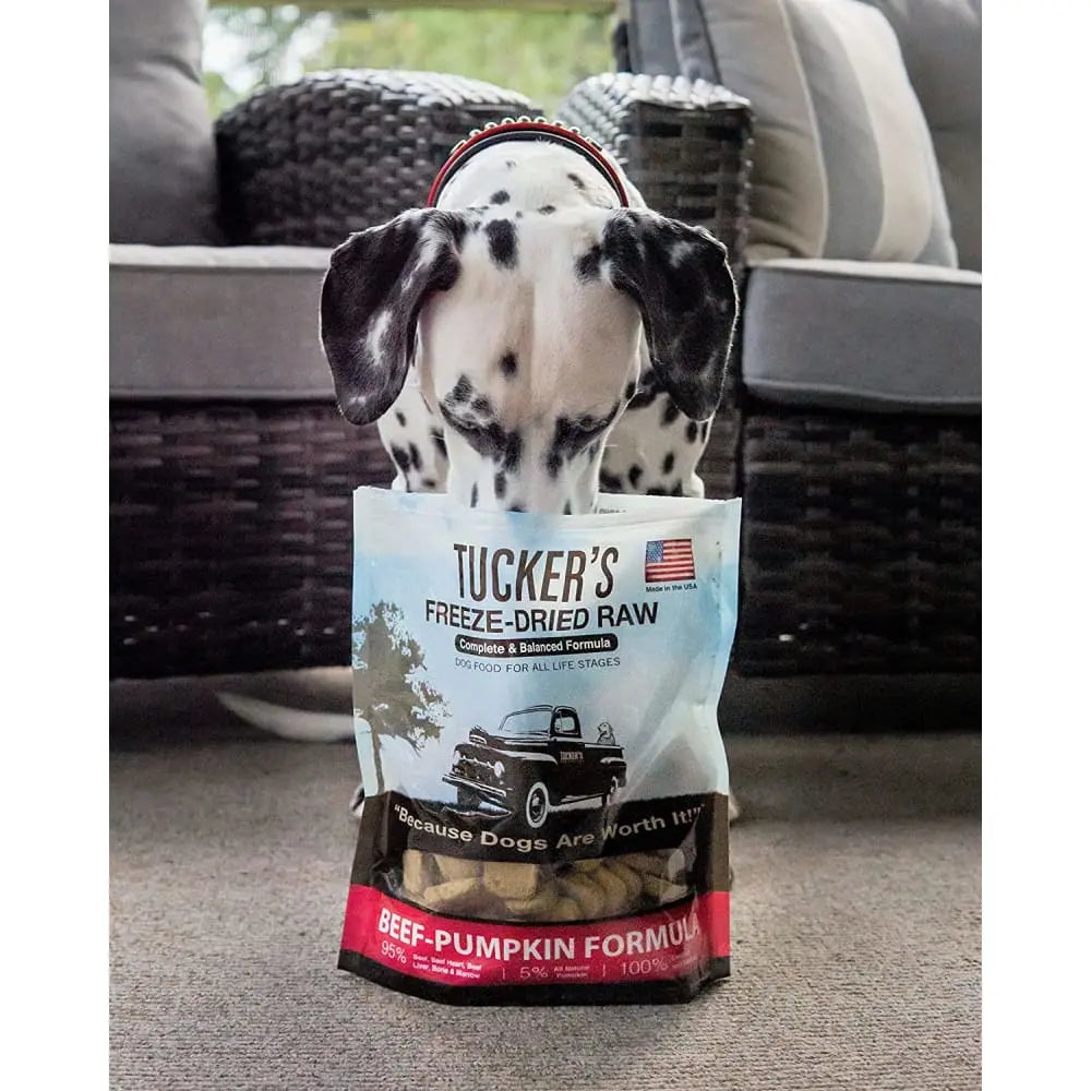 Tucker's® Beef-Pumpkin Complete and Balanced Freeze-Dried Diets for Dogs, 14 Oz Tucker's