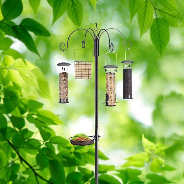 Talis Smart Bird Feeders with Camera Outdoor Wild Bird Feeder