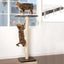 Ultimate Window Perch Cat Climber & Tree (45 Tall) PetFusion