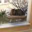 Universal Mount Kitty Sill with Cardboard track K&H Pet Products