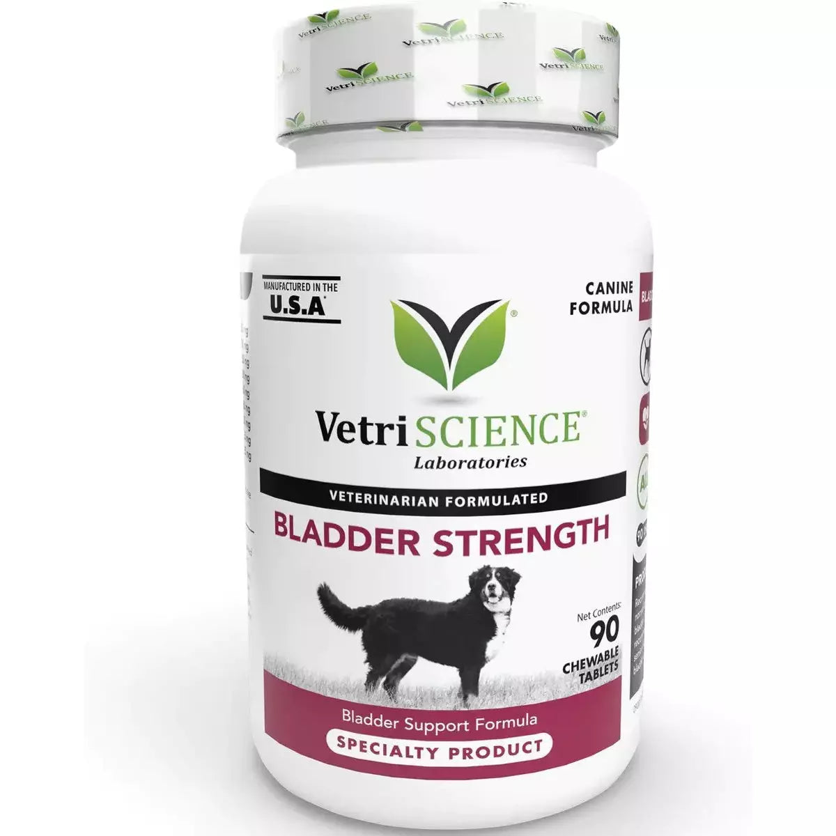 VetriScience Laboratories Bladder Strength Tablet Supplement for Dogs 90ct Vetri-Science Laboratories®
