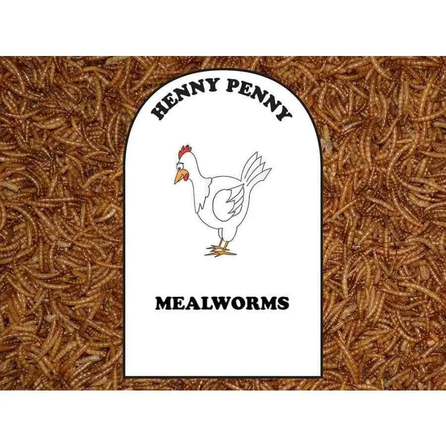 Volkman Seed Company Mealworms Chicken Food 1ea/1.25 lb Volkman Seed Company
