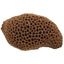 Weco Products South Pacific Coral Brain Ornament Weco CPD