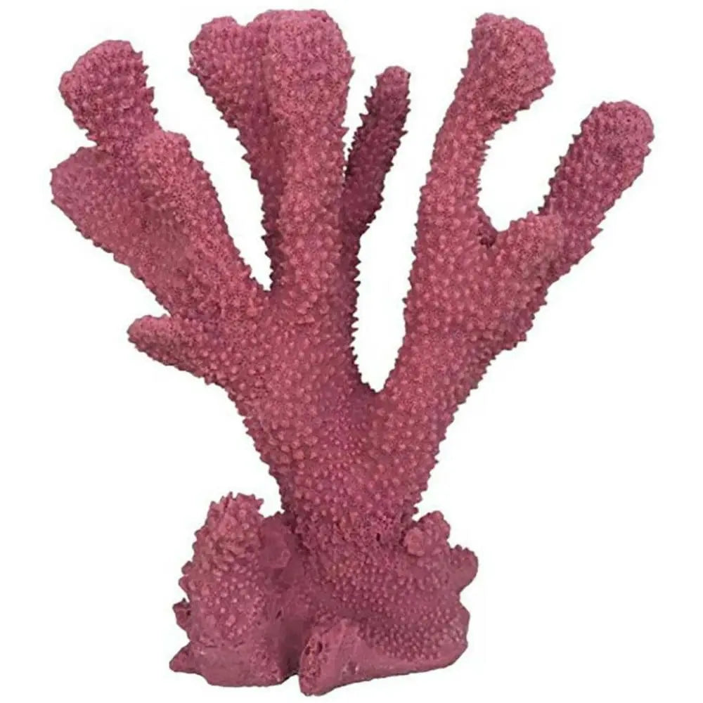 Weco Products South Pacific Coral Cats Paw Ornament Rose Weco CPD