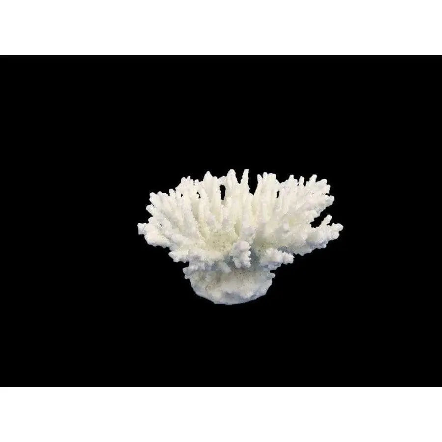 Weco Products South Pacific Coral Tabletop Ornament Weco CPD