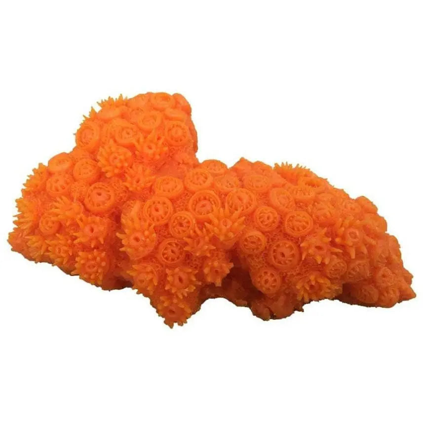 Weco Products South Pacific Coral Tubastrea Ornament Orange Weco CPD