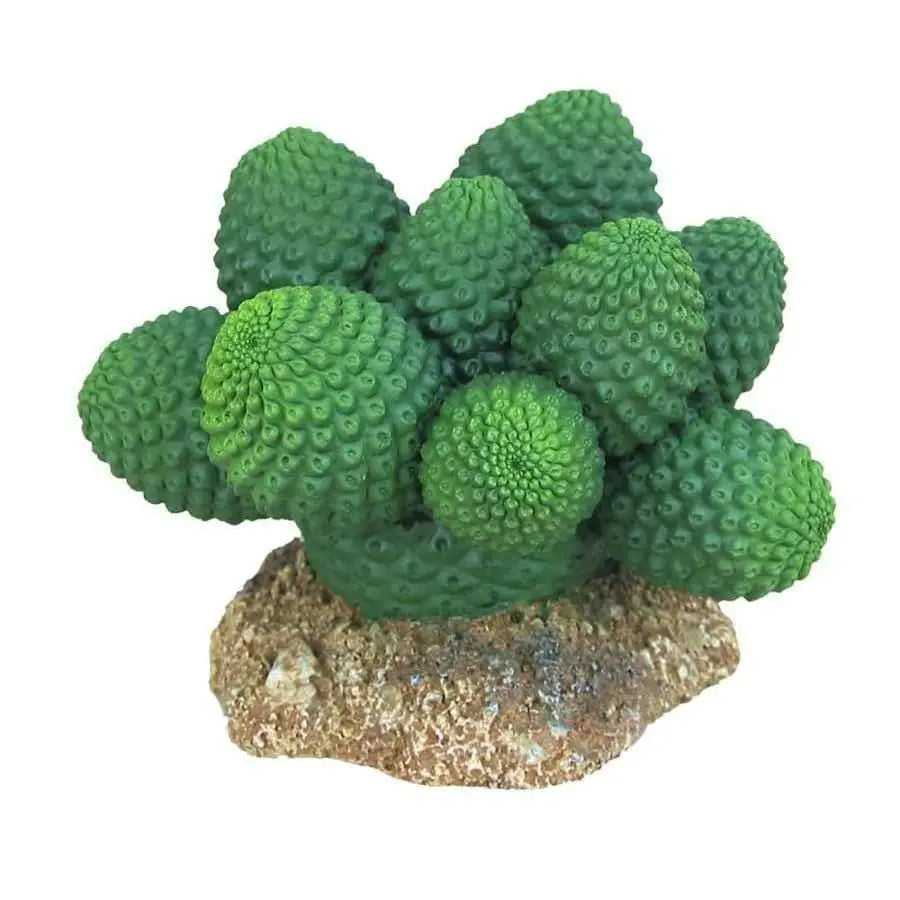 Weco Products Wecorama Badlands Pointed Sonoran Cactus Terrarium Ornament Pointed Sonoran Cactus Weco CPD