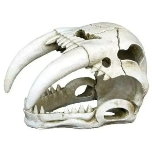 Weco Products Wecorama Catacombs Sabertooth Skull Aquarium Ornament White Weco CPD