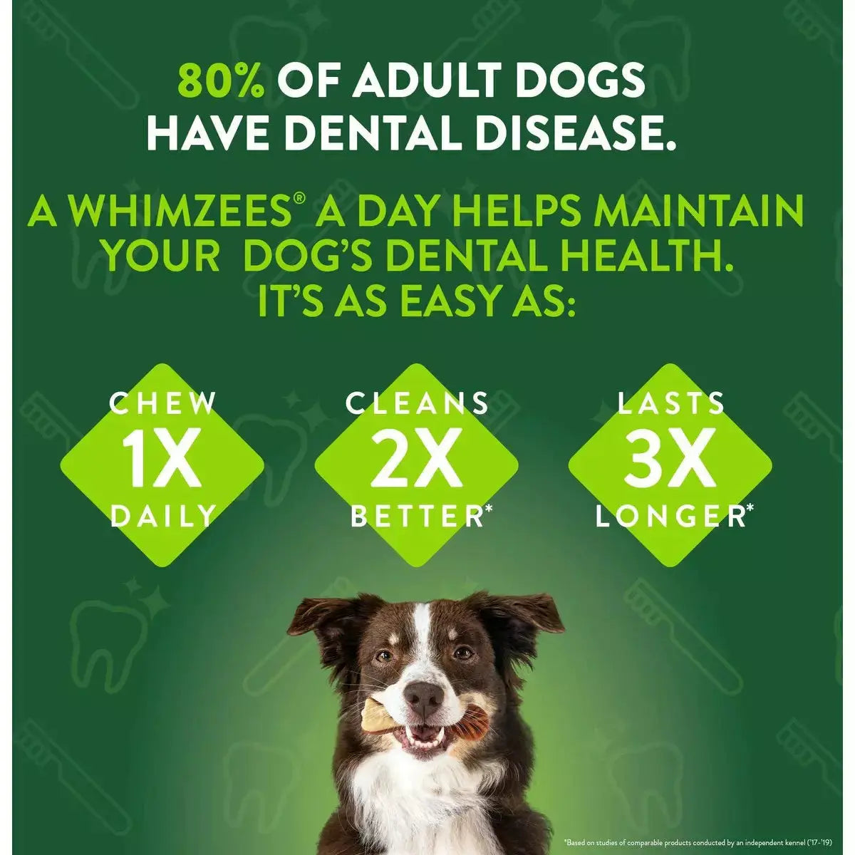 Whimzees Brushzees Daily Use Medium Dental Dog Treats 7.4 oz Whimzees