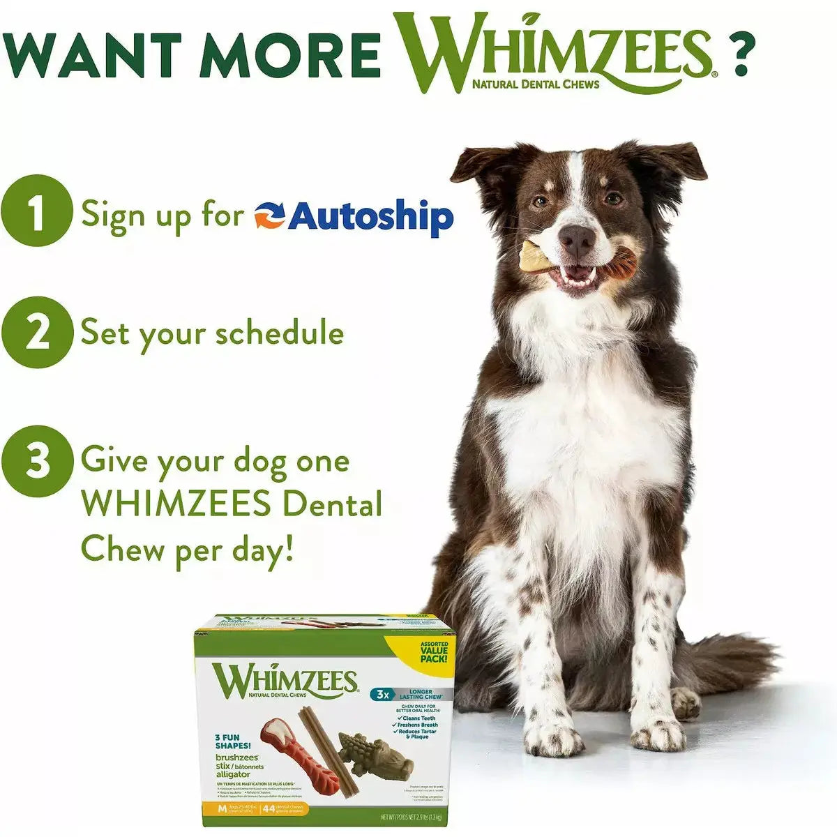Whimzees Brushzees Medium Dental Dog Treats Bulk 75 ct Whimzees