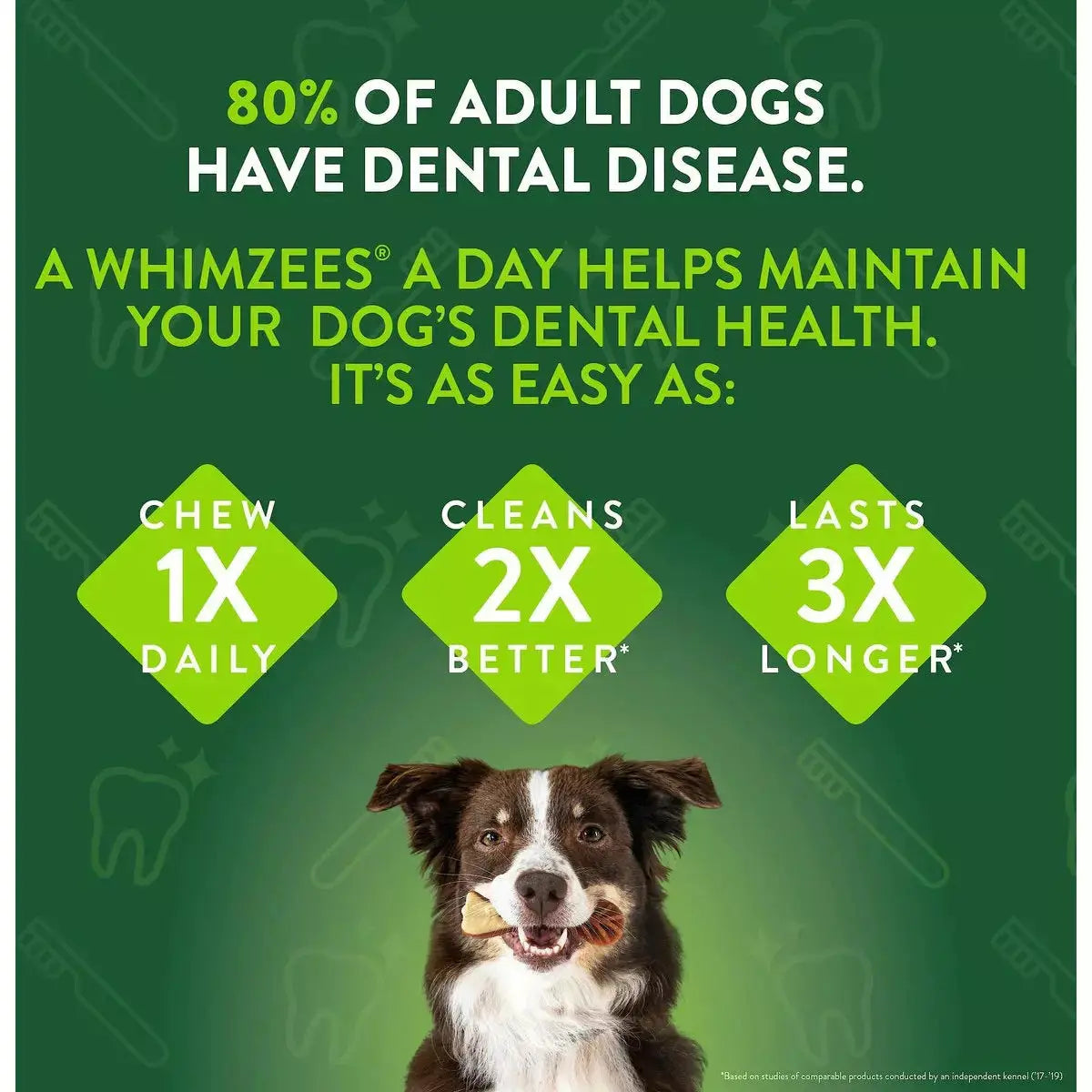 Whimzees Large Gluten Free Toothbrush Dog Dental Chews 12.7 Oz Whimzees