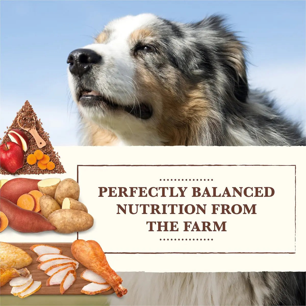 Whole Earth Farms® Goodness from the Earth Grain Free Chicken & Turkey Recipe Dog Food 25 Lbs Whole Earth Farms®