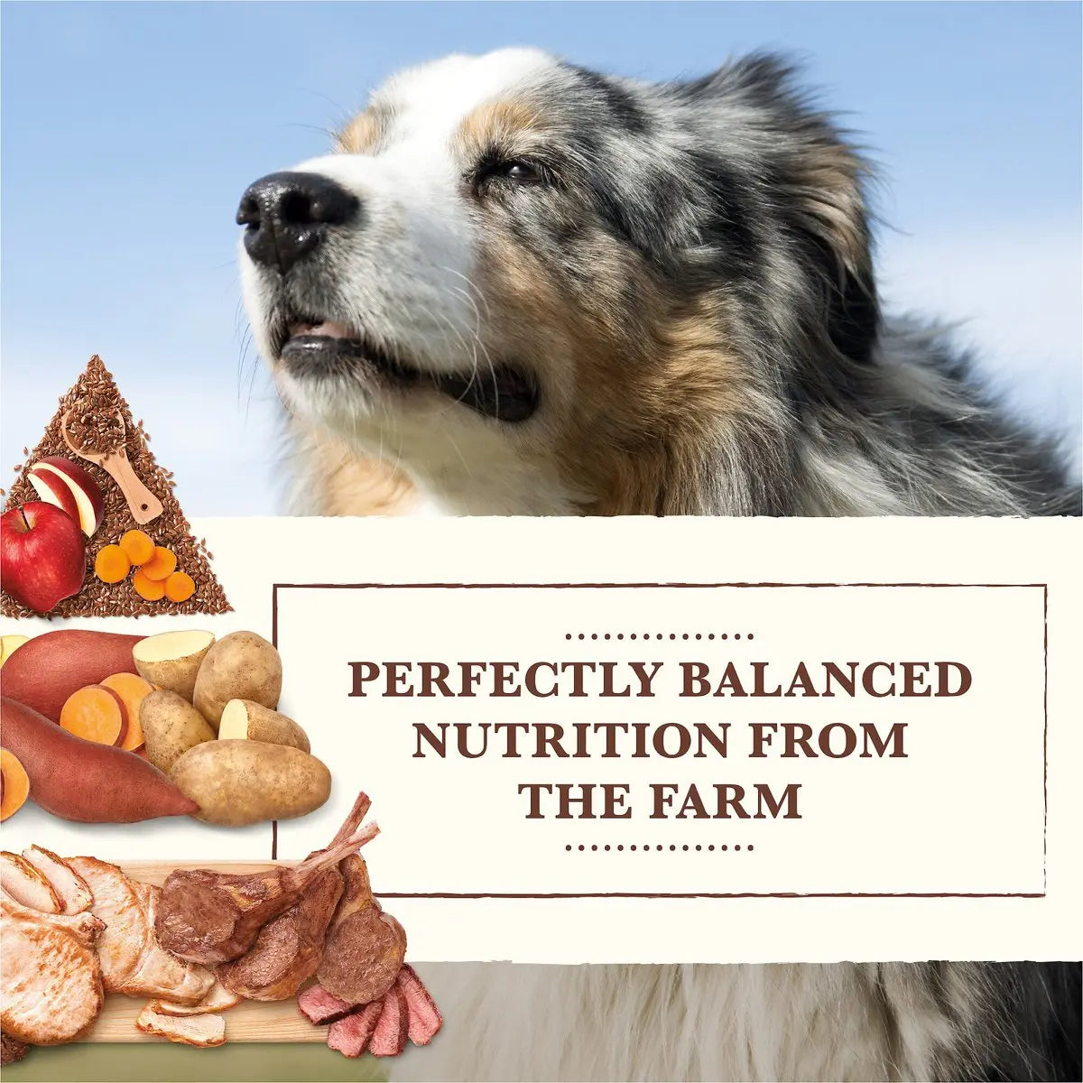 Whole Earth Farms® Goodness from the Earth Grain Free Pork, Beef & Lamb Recipe Dog Food 25 Lbs Whole Earth Farms®