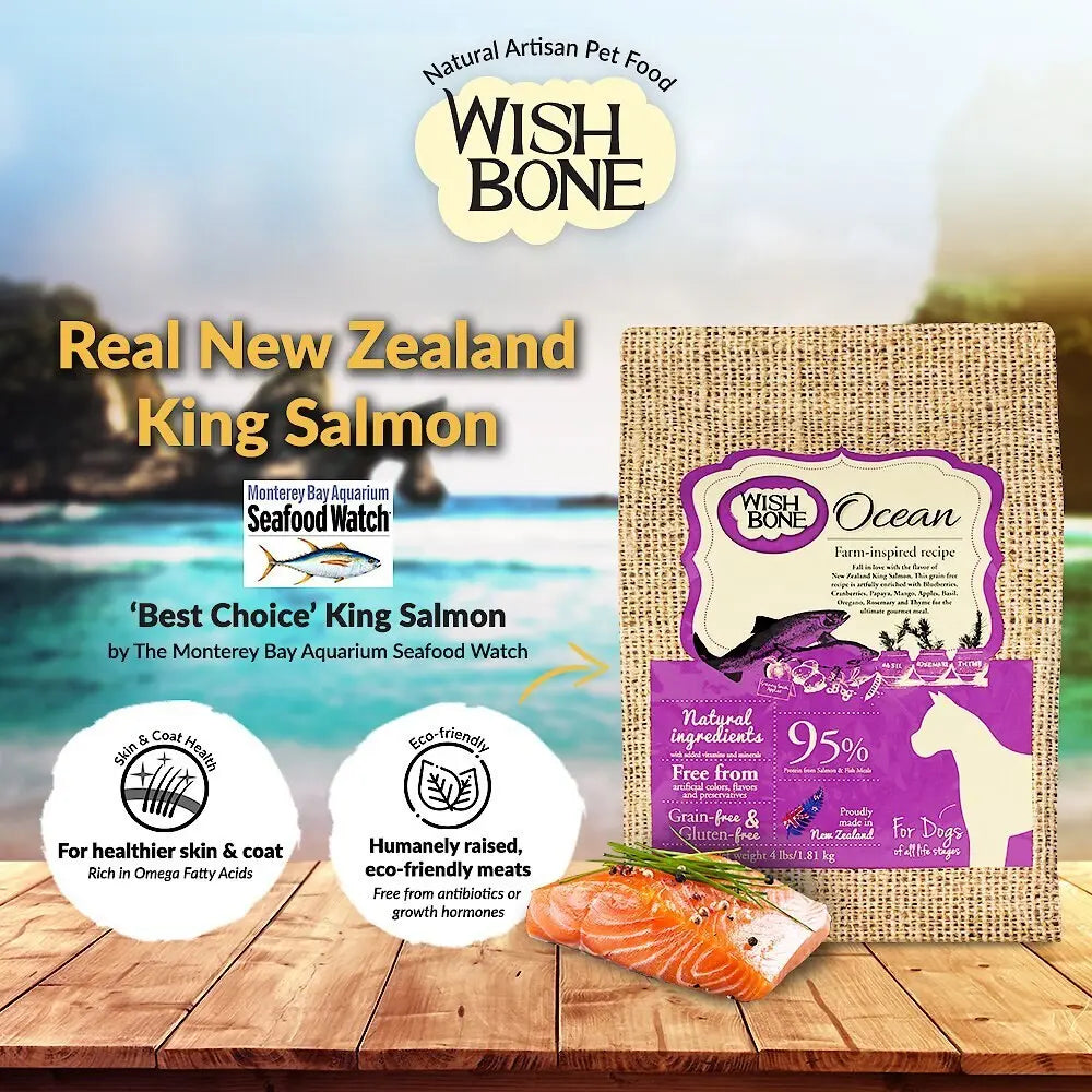 Wishbone Grain Free Ocean  Real New Zealand Salmon Dry Dog Food Wishbone