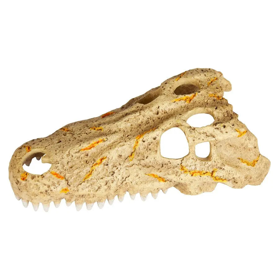Zilla Crocodile Skull Rapid Sense Decor Reptile Supply Zilla