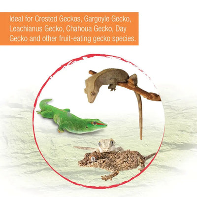 Zilla Gecko Gold Powdered Diet Zilla