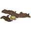 Zoo Med African Mopani Wood Brown Terrarium Décors Zoo Med Laboratories CPD