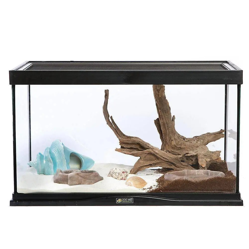 Hermit crab best sale and betta fish